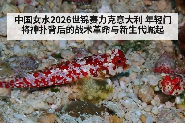 中国女水2026世锦赛力克意大利 年轻门将神扑背后的战术革命与新生代崛起