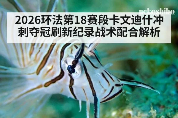 2026环法第18赛段卡文迪什冲刺夺冠刷新纪录战术配合解析
