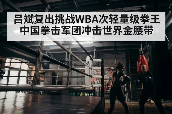 吕斌复出挑战WBA次轻量级拳王 中国拳击军团冲击世界金腰带