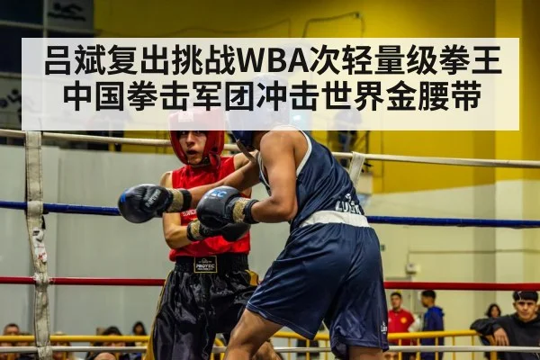 boxing match ring